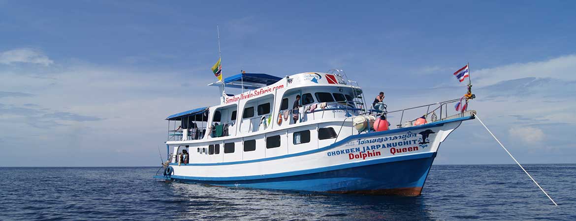 Dolphin Queen in Myanmar